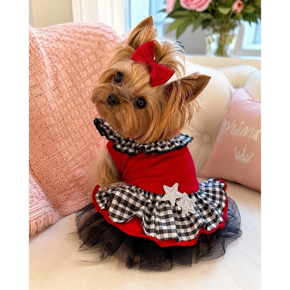 Small XS Puppy Dog Dress Red Plaid Gingham Tutu Ruffle Patriotic USA Sequin Star